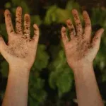 Top Soil